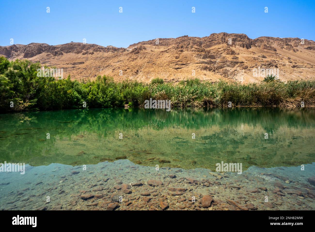 Ein Feshkha (Einot Tzukim) è una riserva naturale e sito archeologico sulla riva nord-occidentale del Mar Morto, a circa tre chilometri a sud di Qumr Foto Stock