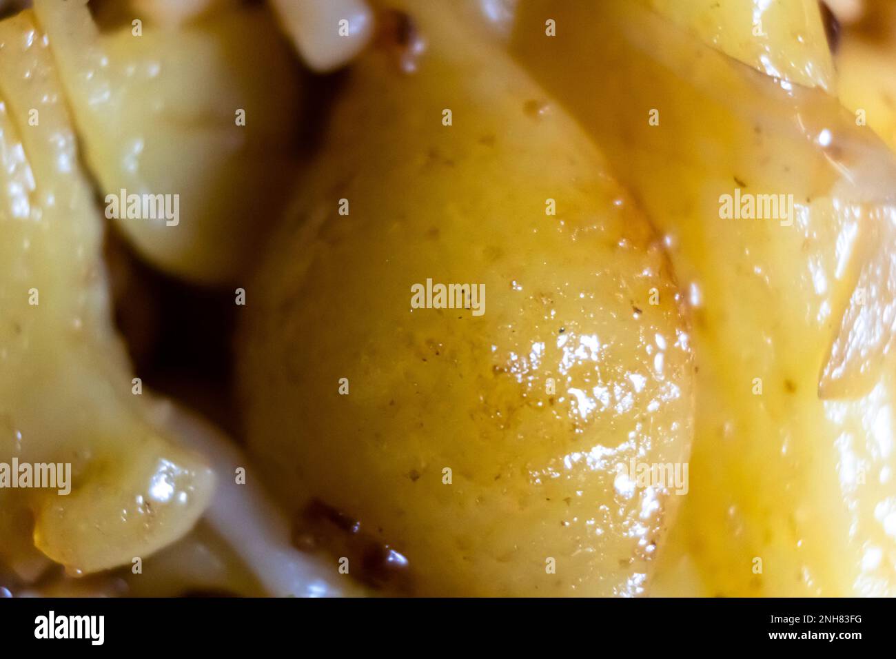 Primo piano di pasta cruda italiana, tagliatelle di grano duro Foto Stock