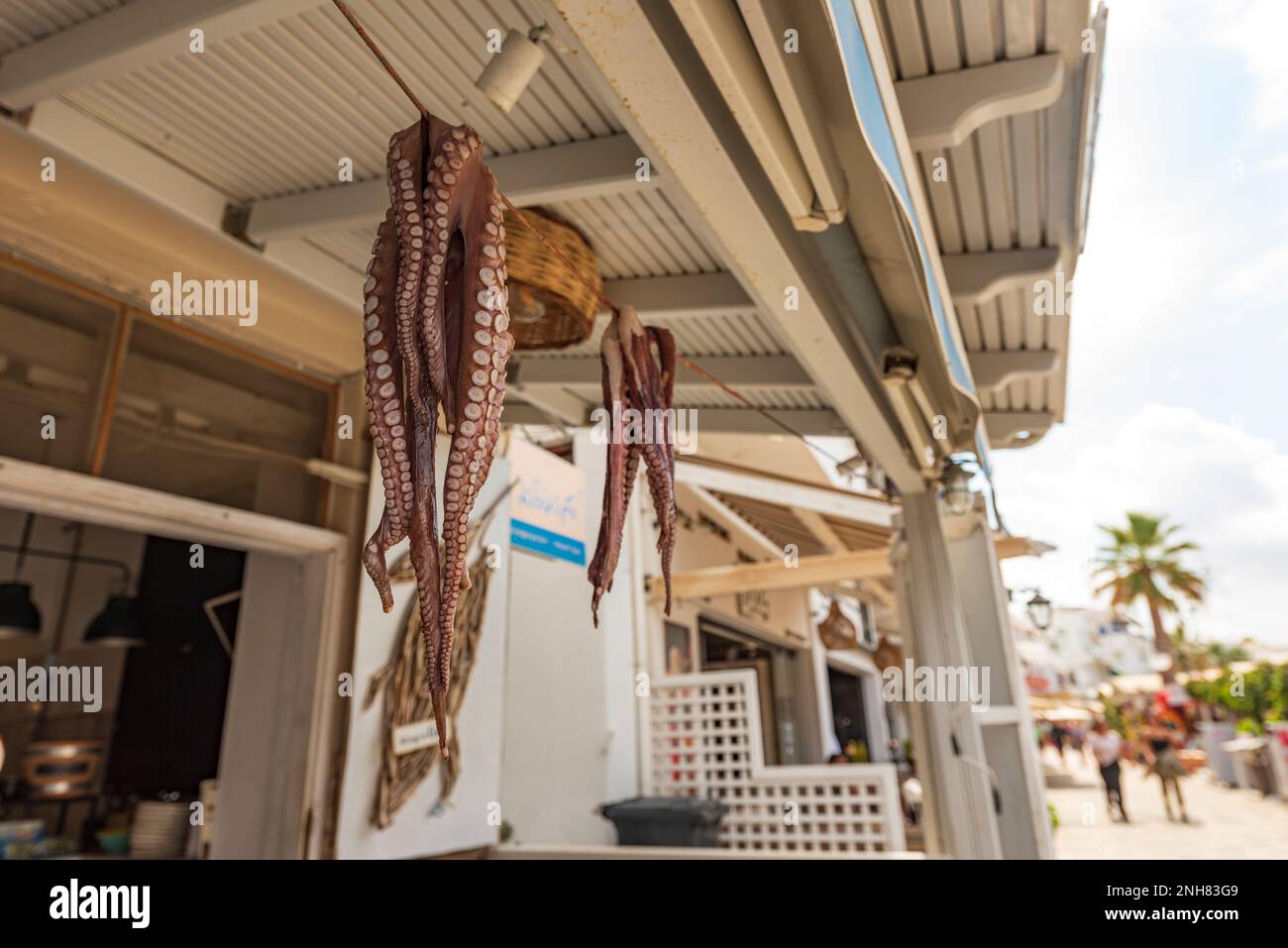 Polpi appesi in una caratteristica taverna greca, Naxos Foto Stock