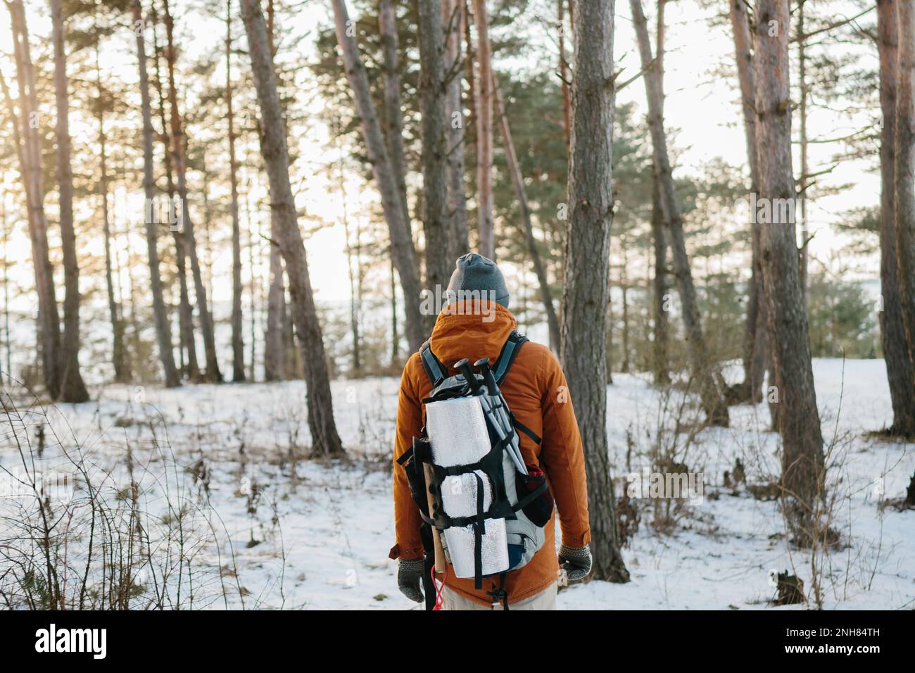 Uomo di viaggiatori con zaino escursionismo in inverno nevoso paesaggio forestale stile di vita viaggio avventura concetto vacanze attive outdoor il freddo in w Foto Stock