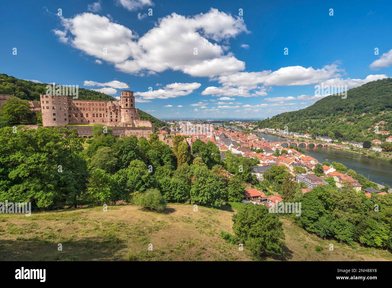 Heidelberg Germania, skyline della città sul fiume Neckar con il Ponte Vecchio di Alte e il Castello di Heidelberg Schloss Foto Stock