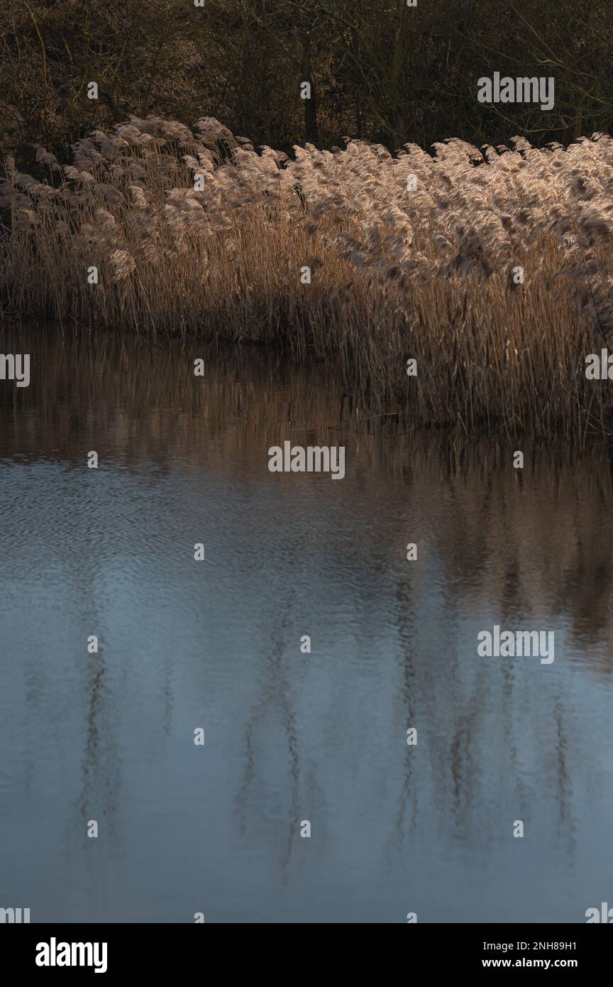 Acqua di Alton (serbatoio di Alton) in una giornata di sole nel mese di febbraio. Colori caldi di alberi, cielo blu. Foto Stock