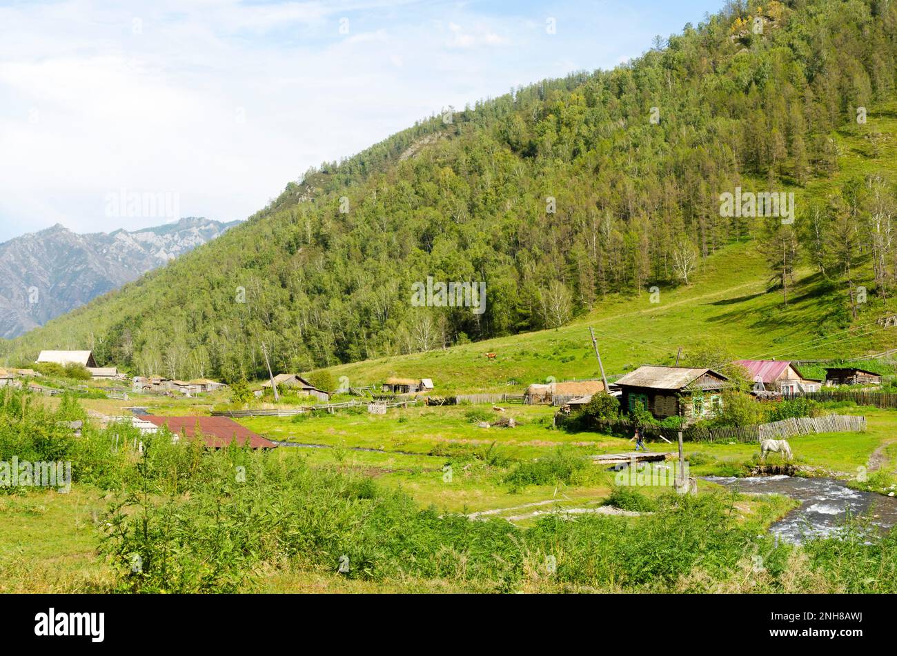 Un piccolo fiume scorre in un villaggio di montagna nel pomeriggio sull'erba vicino ai cavalli. Foto Stock