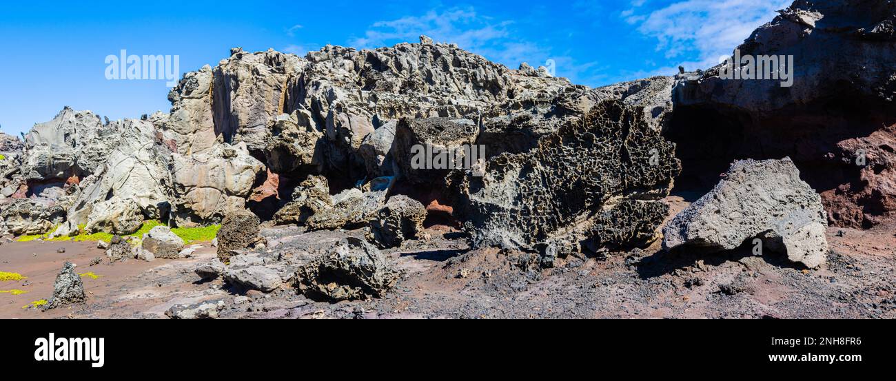 Scogliere stagne presso la Acid Rain War zone, Nakalele Point, Maui, Hawaii, USA Foto Stock