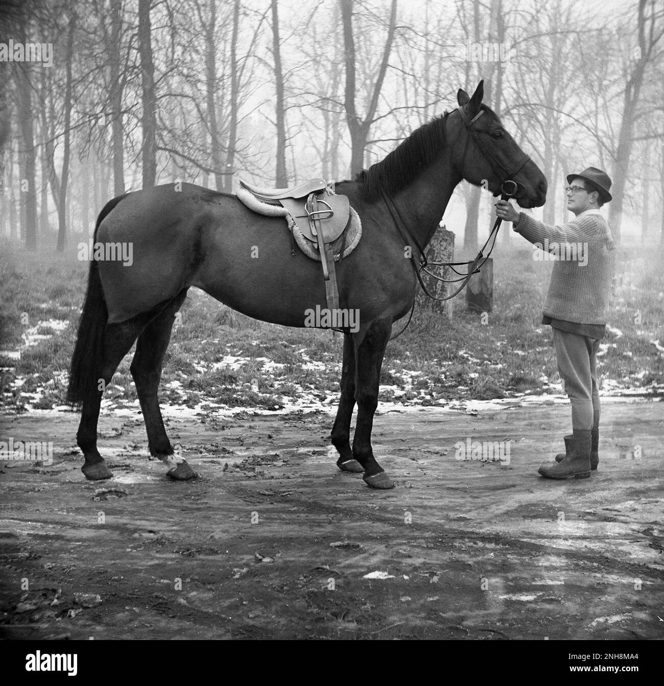 Black man riding white horse immagini e fotografie stock ad alta  risoluzione - Alamy