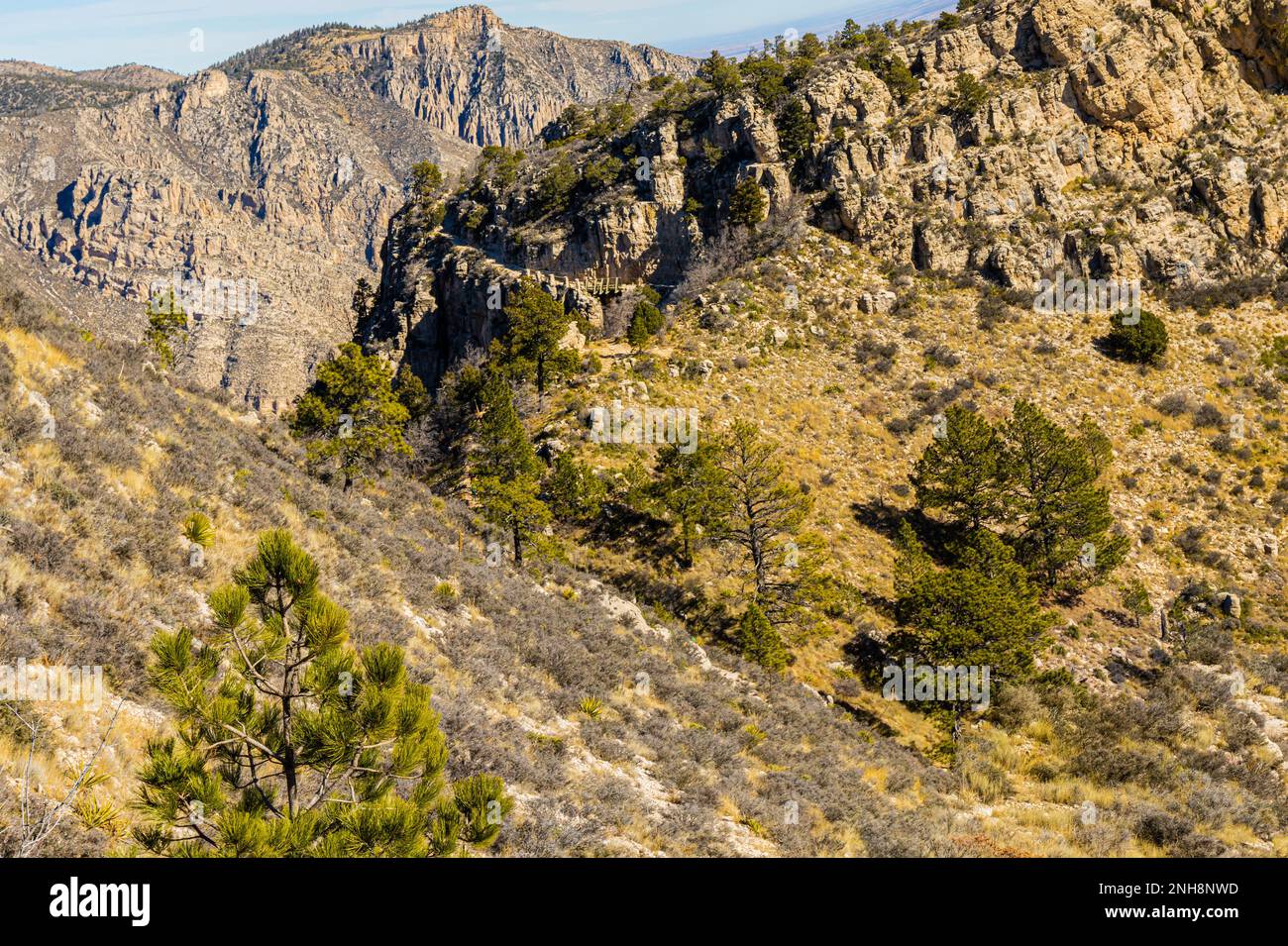 Scarpata di calcare con Hunter Peak sul Guadalupe Peak Trail, Guadalupe Mountains National Park, Texas, USA Foto Stock