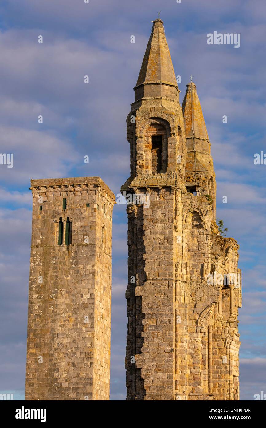 ST ANDREWS, SCOZIA, EUROPA - rovine della Cattedrale di St Andrews. St Rule's Tower, a sinistra. Foto Stock