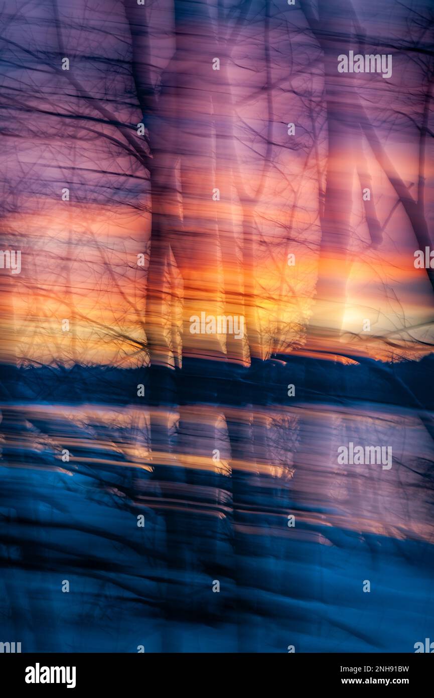 Fotografia intenzionale del movimento della macchina fotografica nella foresta invernale. Colore astratto di un tramonto nella foresta con ICM creare una foto sfocata come un quadro str Foto Stock