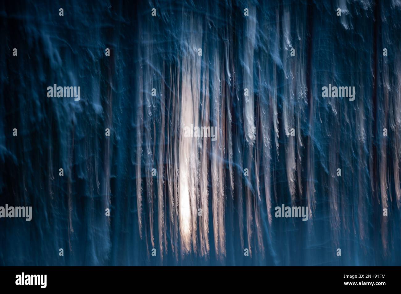 Fotografia intenzionale del movimento della macchina fotografica nella foresta invernale. Colore astratto di un tramonto nella foresta con ICM creare una foto sfocata come un quadro str Foto Stock