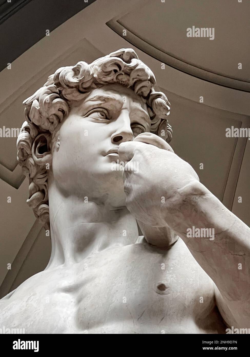 Studio dettagliato della testa, del petto e del braccio della statua del David di Michelangelo Foto Stock