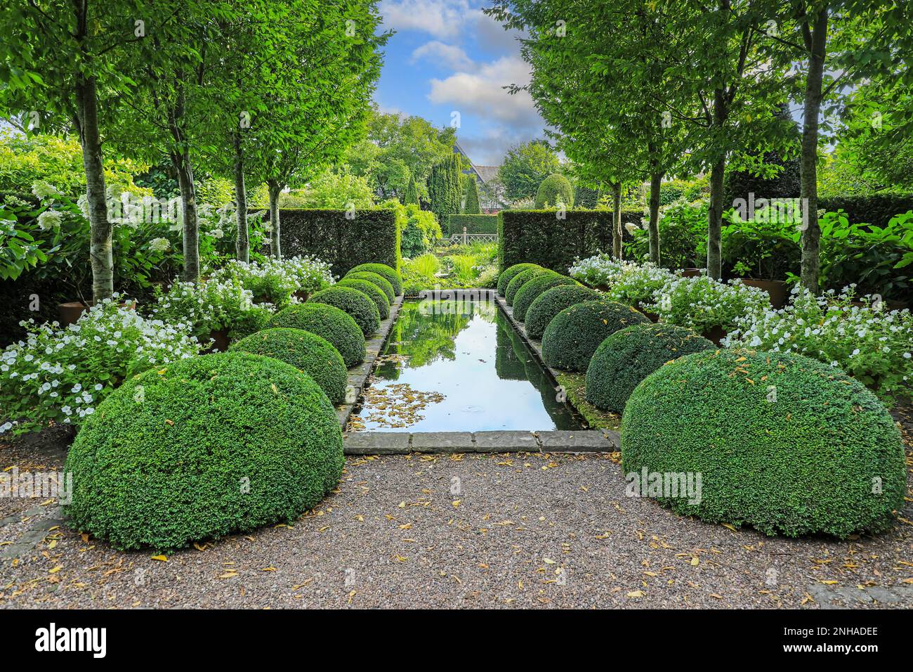Lo stagno ed il topiary al giardino superiore del Rill a Wollerton vecchio giardino della Hall, Wollerton, Drayton del mercato, Shropshire, Inghilterra, REGNO UNITO Foto Stock