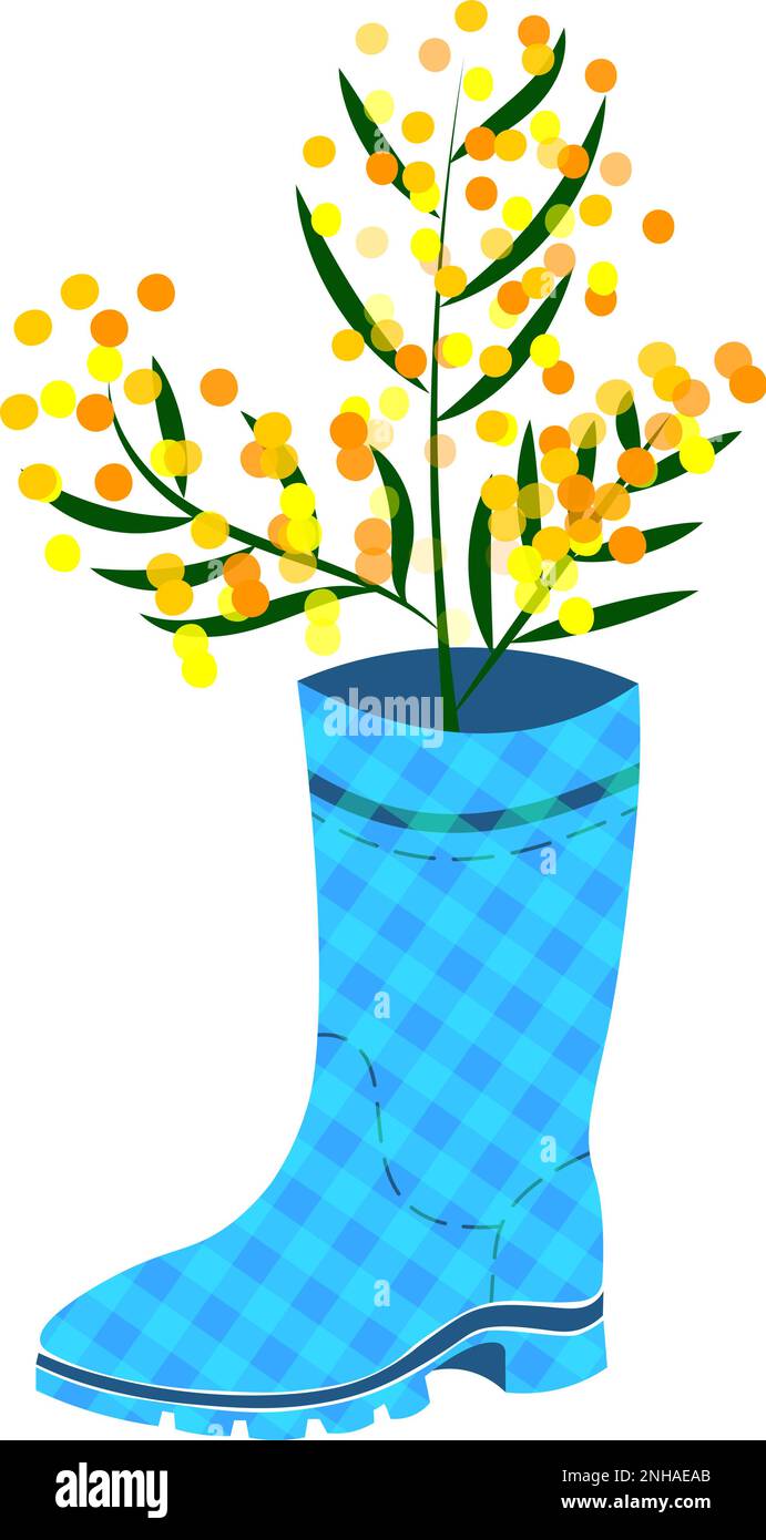 Bouquet di fiori mimosa messo su scarpe stivali di gomma a scacchi scarpe Wellington stivali colorati su blu Illustrazione Vettoriale