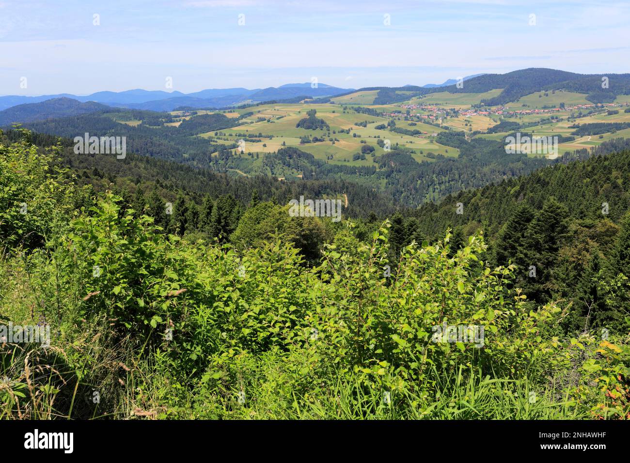 Estate vista sulla Foresta Nera vicino a Todtmoos town, Baden-Wuerttemberg, Germania, Europa Foto Stock
