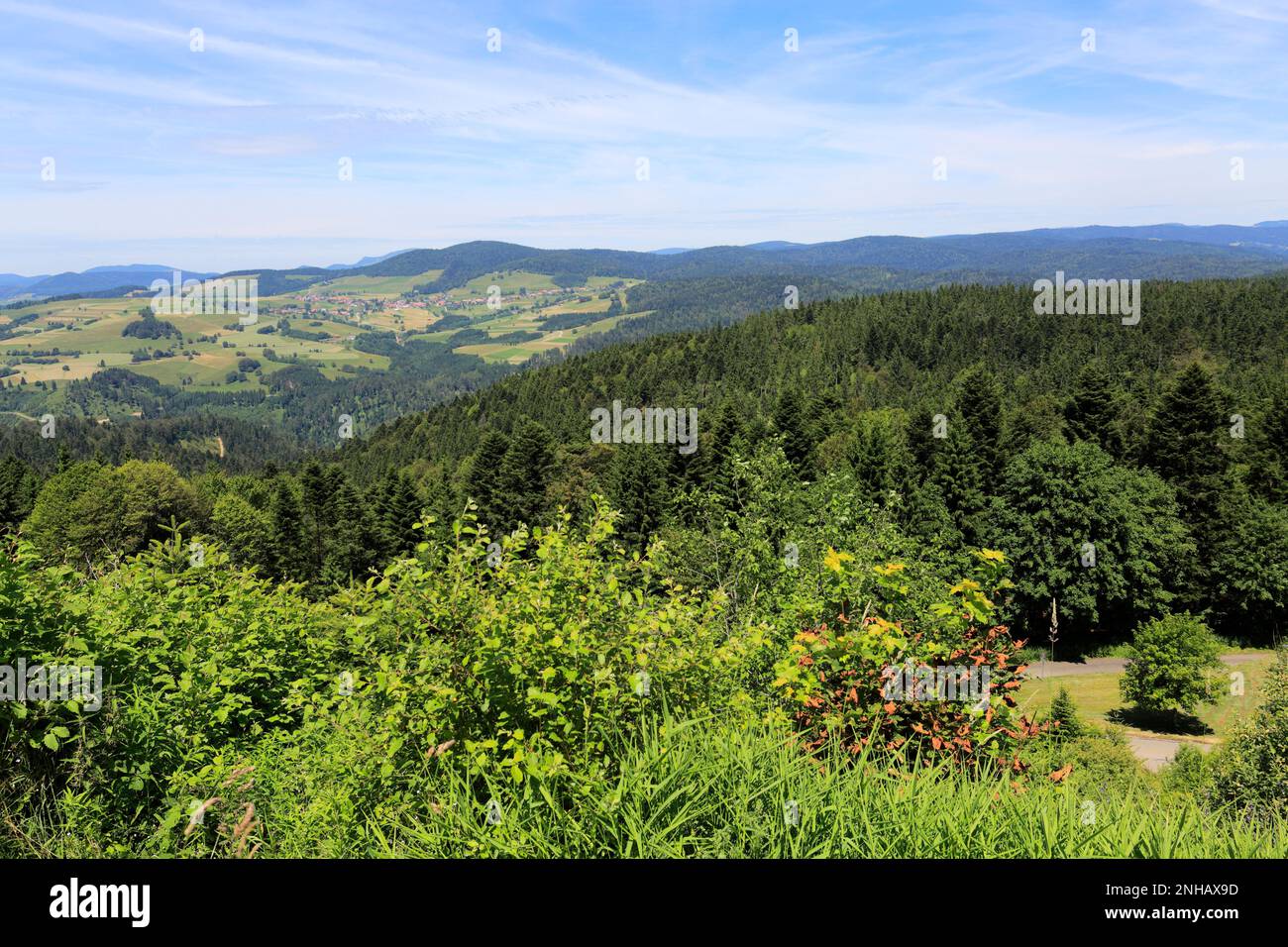 Estate vista sulla Foresta Nera vicino a Todtmoos town, Baden-Wuerttemberg, Germania, Europa Foto Stock