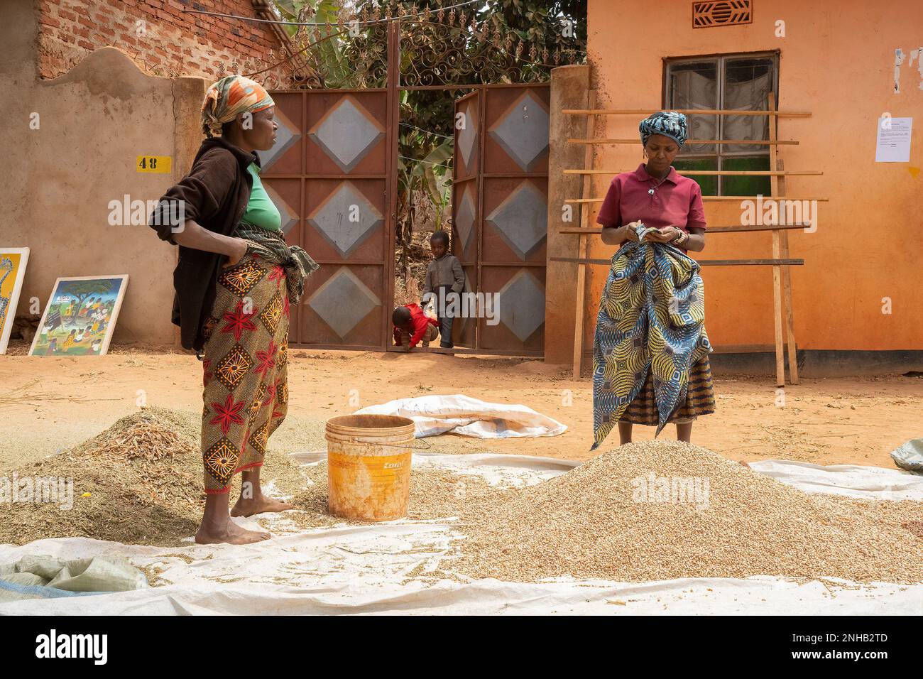 Karatu, Tanzania - 16th ottobre 2022: Due donne dopo aver pulito un mucchio di piselli in una giornata di sole in Tanzania. Foto Stock