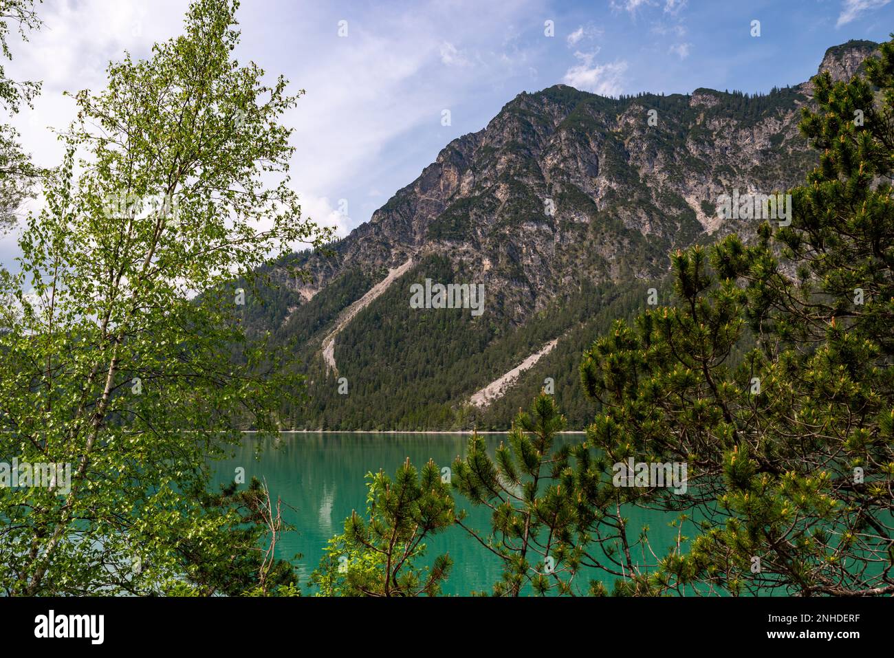 Vista attraverso cespugli sul lago di Heiterwanger, Heiterwang, Austria Foto Stock