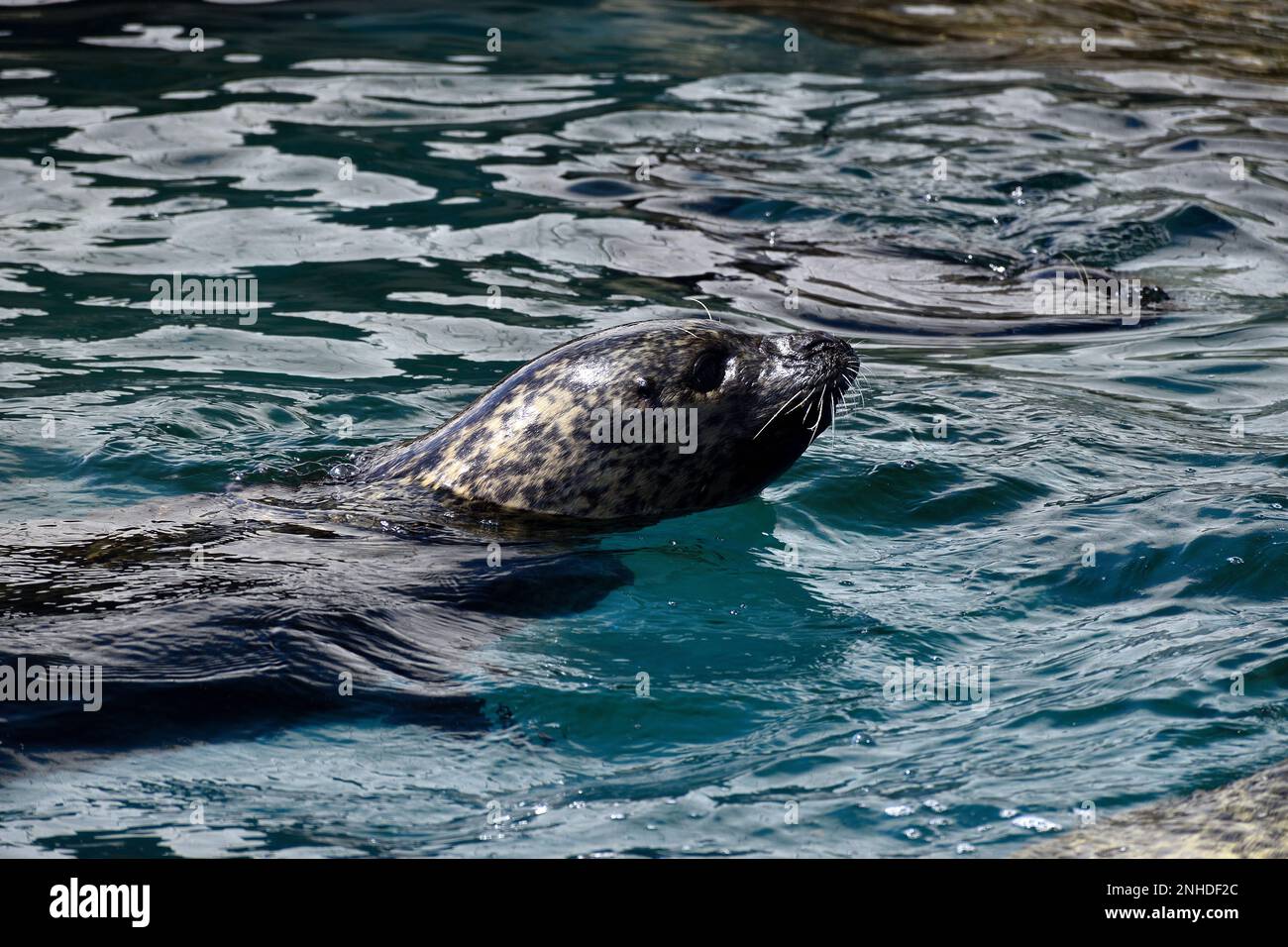 Giorno fuori a Scarborough Foto Stock