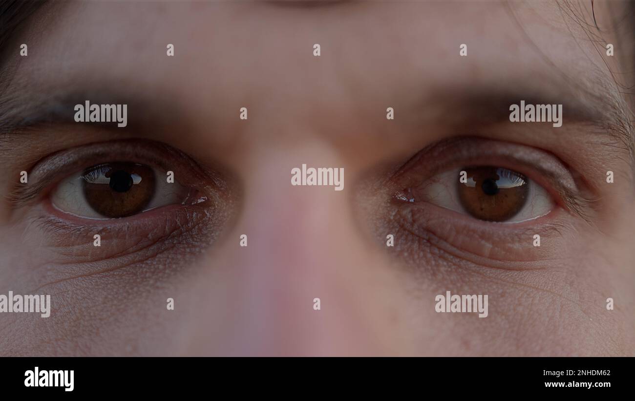 Primo piano degli occhi marroni del giovane Foto Stock