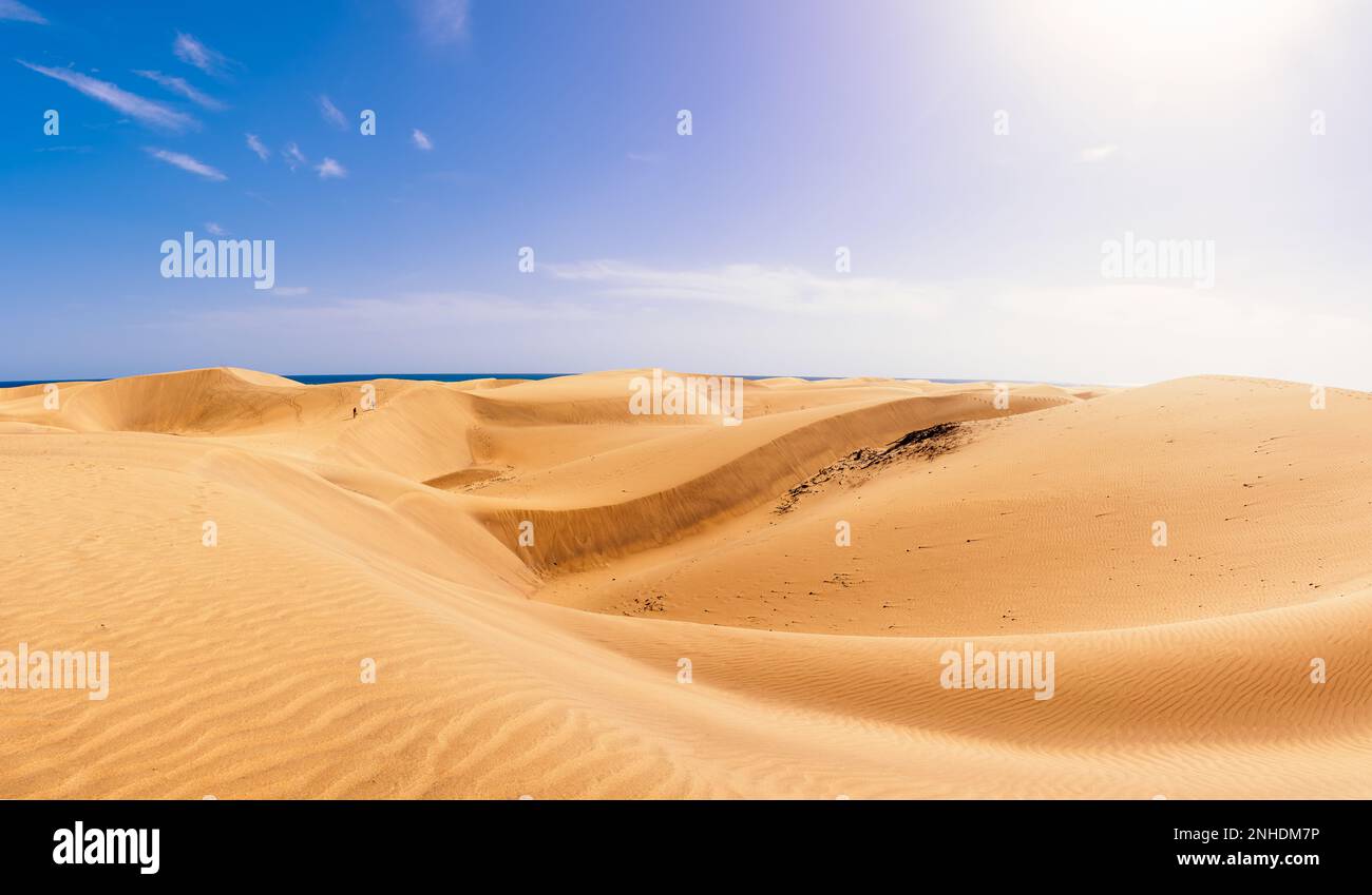 Deserto delle dune nelle Isole Canarie di Maspalomas, Spagna, con il mare all'orizzonte e un cielo blu sullo sfondo con nuvole isolate. Foto Stock