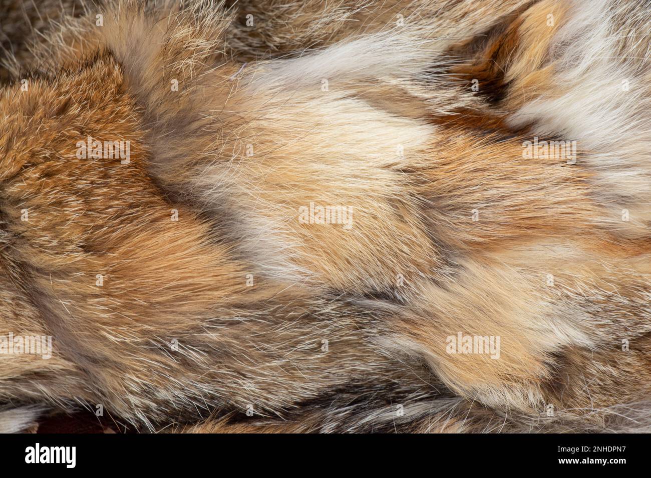 pelliccia di pezzetti di pelliccia di animali diversi come sfondo Foto Stock