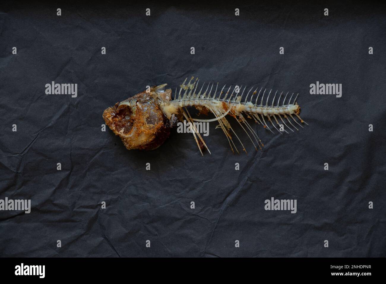 scheletro di pesce fritto su fondo di carta nera primo piano Foto Stock