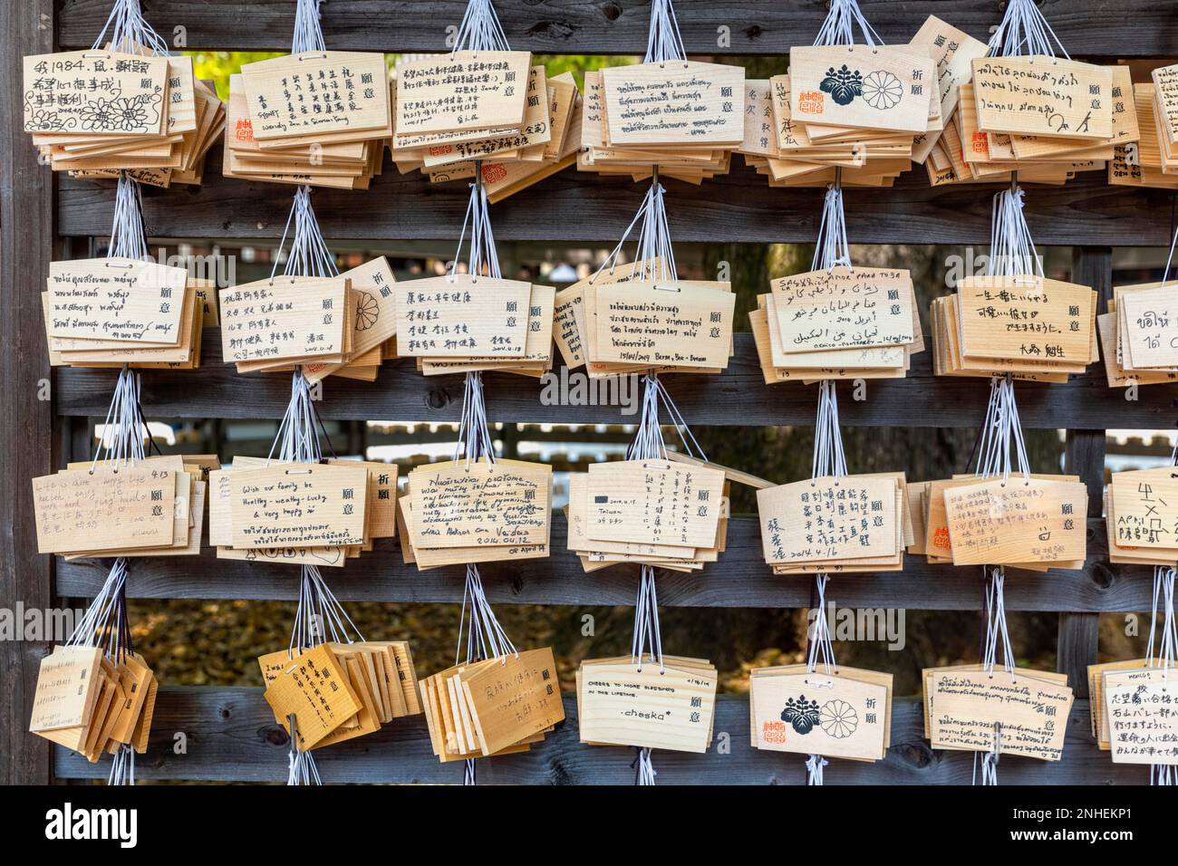Tokyo Giappone. Benedizioni e preghiere scritte su carte di legno al santuario Meiji Jingu Shinto Foto Stock