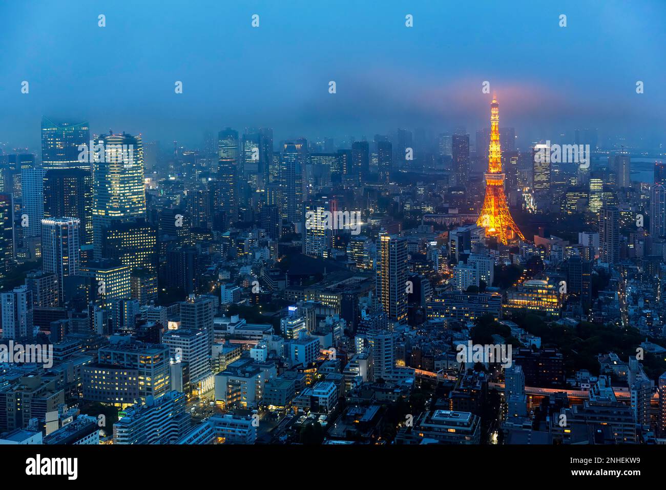 Tokyo Giappone. Veduta aerea della Torre di Tokyo Foto Stock
