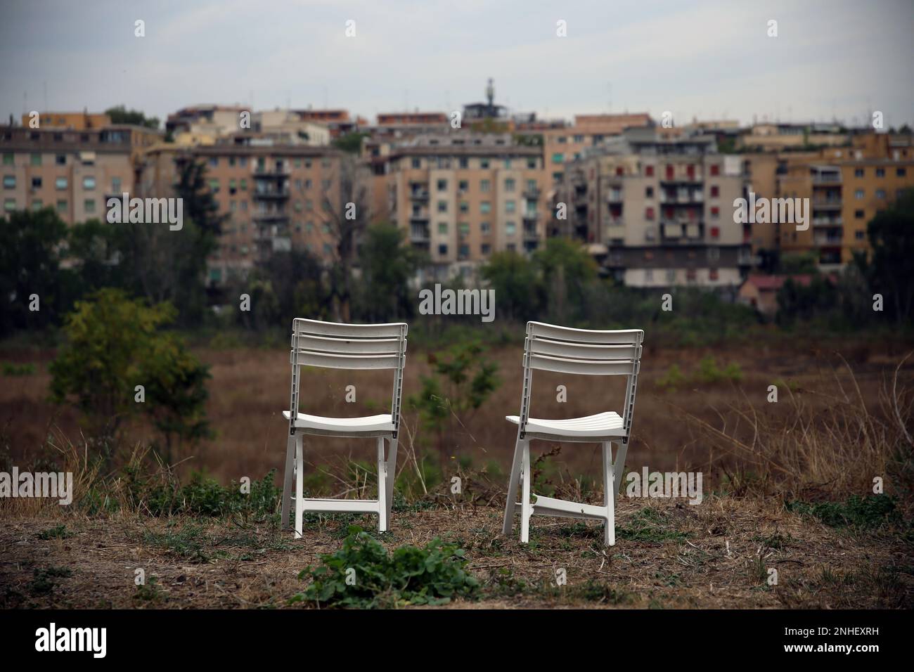 Tranquillo angolo selvaggio dei sobborghi che si affaccia sulla città Foto Stock