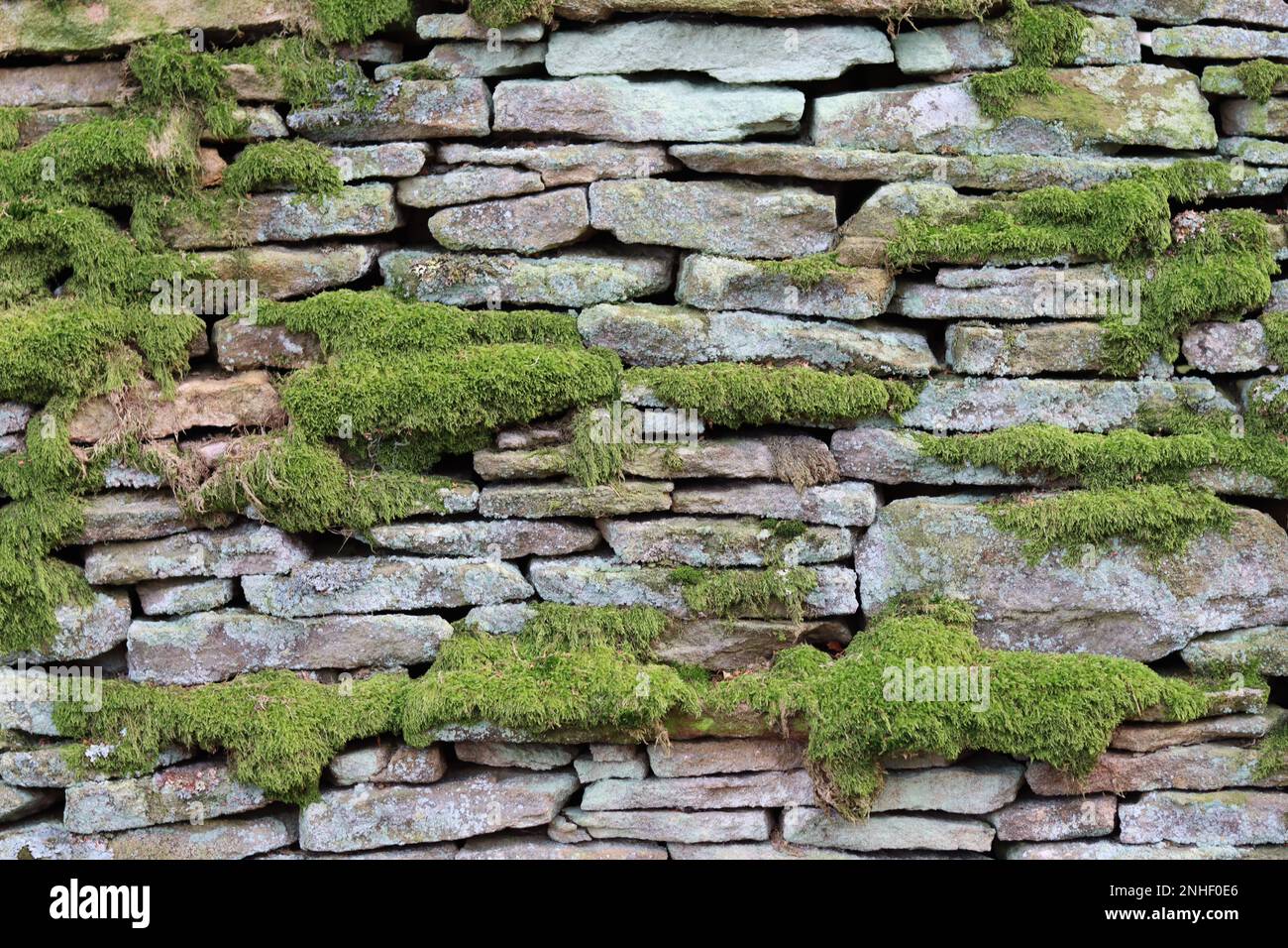 Vecchio muro di pietra a secco coperto di muschio e lichene Foto Stock