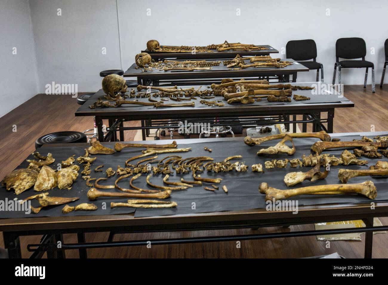 Raquel Fortun patologo forense, la guerra di Duterte contro la droga, Manila, Filippine Foto Stock