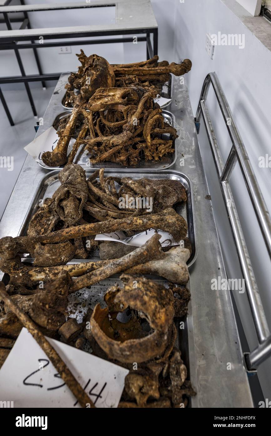 Raquel Fortun patologo forense, la guerra di Duterte contro la droga, Manila, Filippine Foto Stock