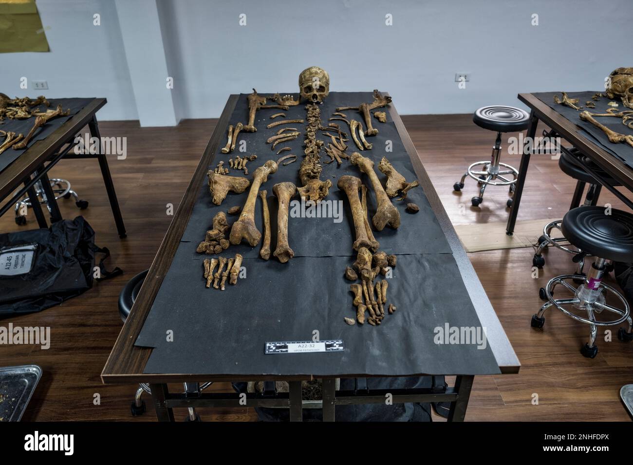 Raquel Fortun patologo forense, la guerra di Duterte contro la droga, Manila, Filippine Foto Stock