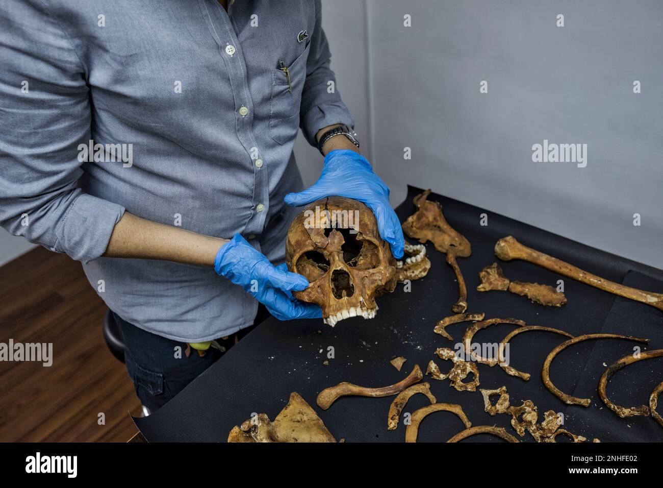 Raquel Fortun patologo forense, la guerra di Duterte contro la droga, Manila, Filippine Foto Stock