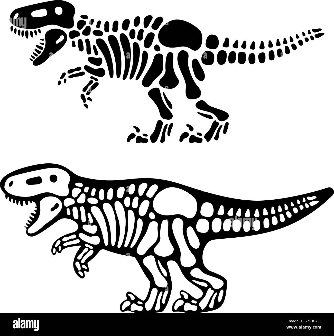 Tirannosauro ossa e cranio. Scheletro T-rex. Silhouette animale preistorica. Paleontologia e archeologia. Ossa creatura preistorica Illustrazione Vettoriale