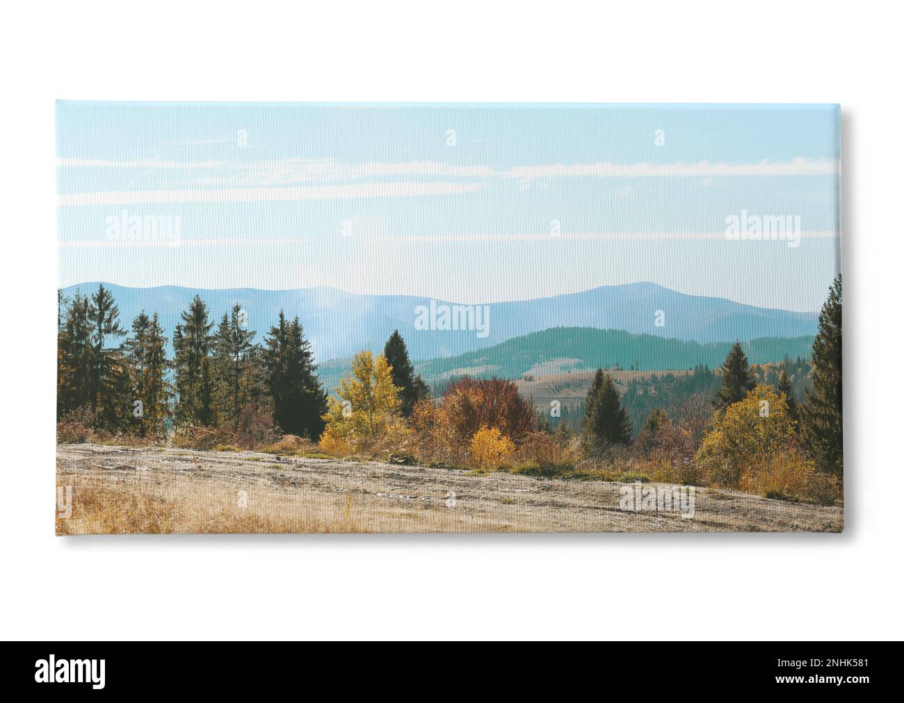 Foto stampata su tela, sfondo bianco. Paesaggio pittoresco con bella foresta e montagne Foto Stock