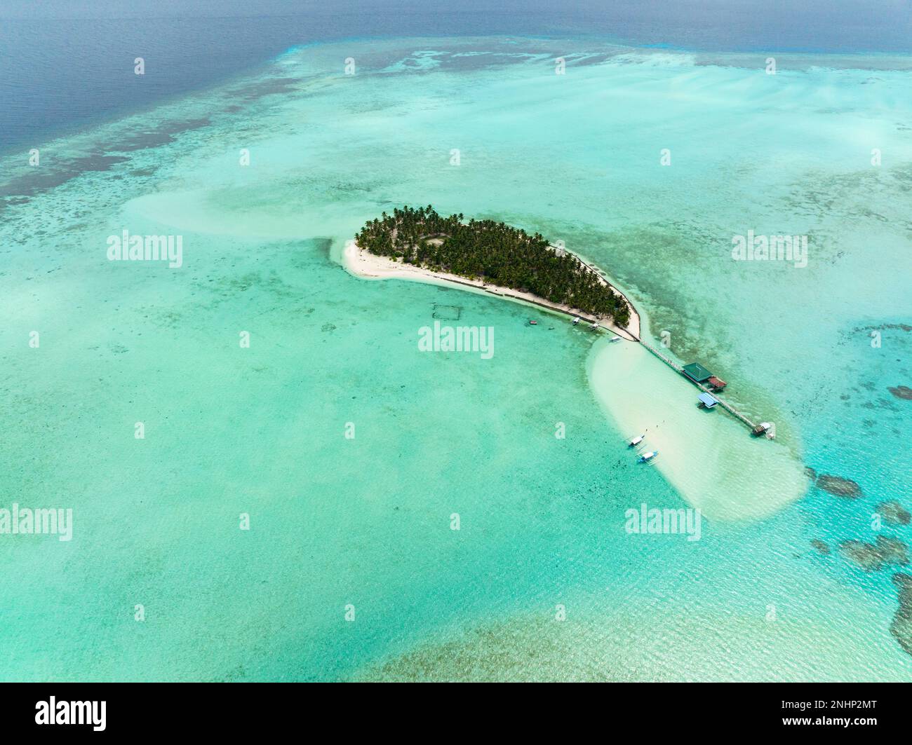 Isola tropicale con palme e spiaggia sabbiosa. Onok Island, Balabac, Filippine. Foto Stock