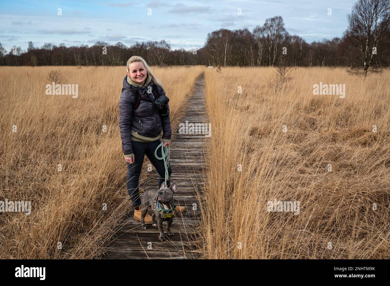 Donna con cane che cammina legno tavola percorso attraverso una torbiera Foto Stock
