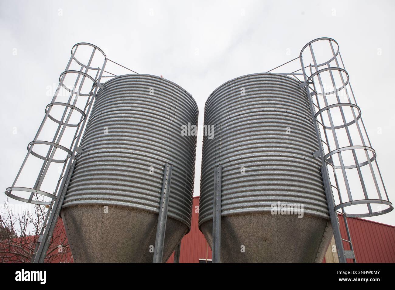 Silos di alimentazione animale. Stoccaggio rivestito in zinco per l'allevamento di animali Foto Stock