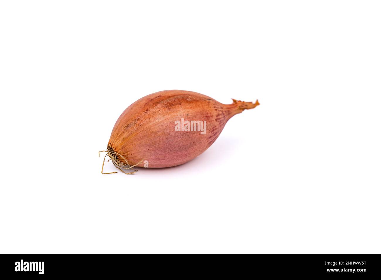 Una cipolla da cucina come una verdura sana isolata su uno sfondo bianco in studio Foto Stock