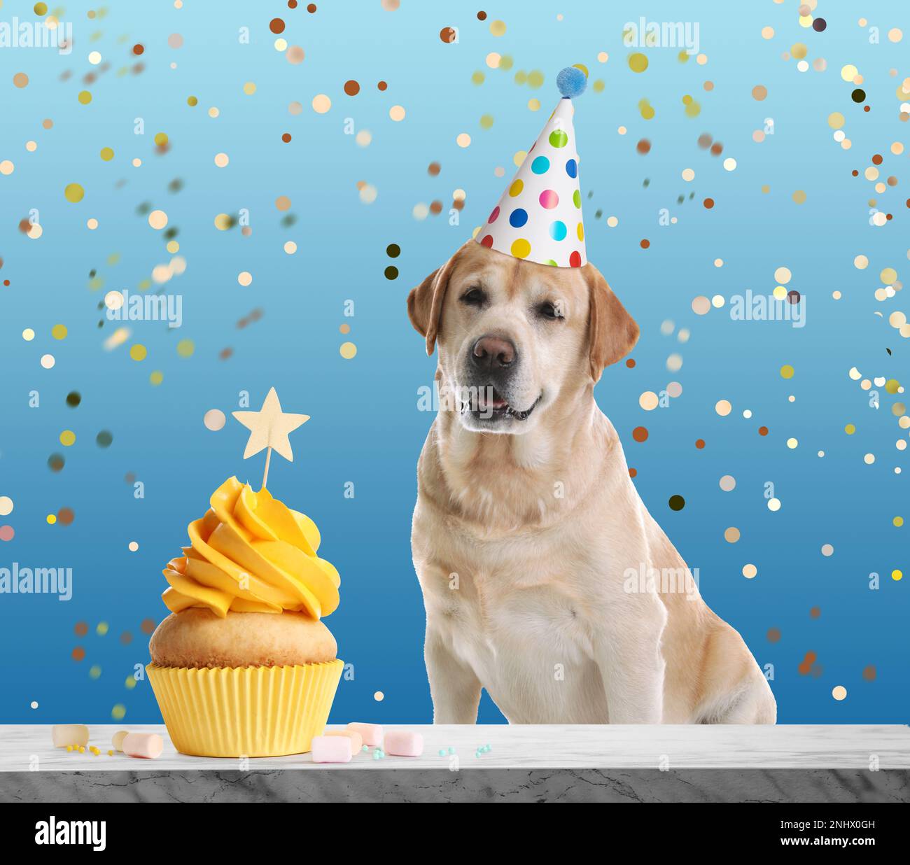 Golden retriever dog birthday cake immagini e fotografie stock ad alta  risoluzione - Alamy