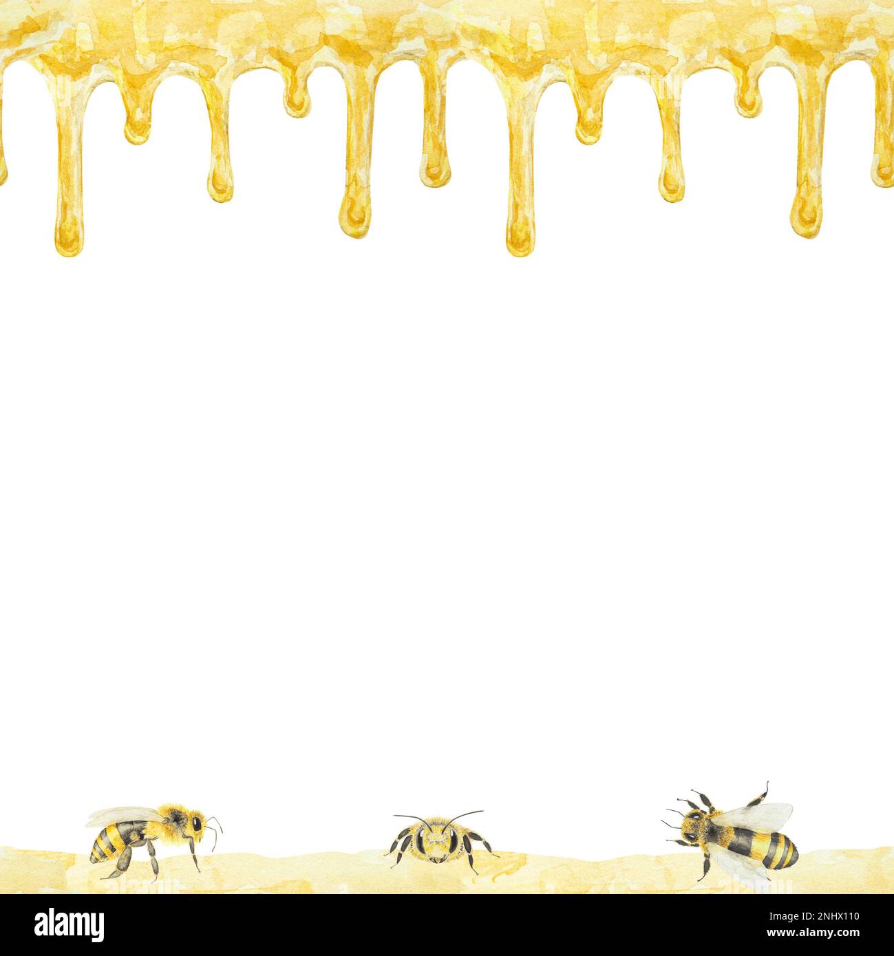 Acquerello senza cuciture raffigurazione di miele e api. Disegnato a mano e isolato su sfondo bianco. Ideale per la stampa su tessuti, cartoline, inviti, Foto Stock
