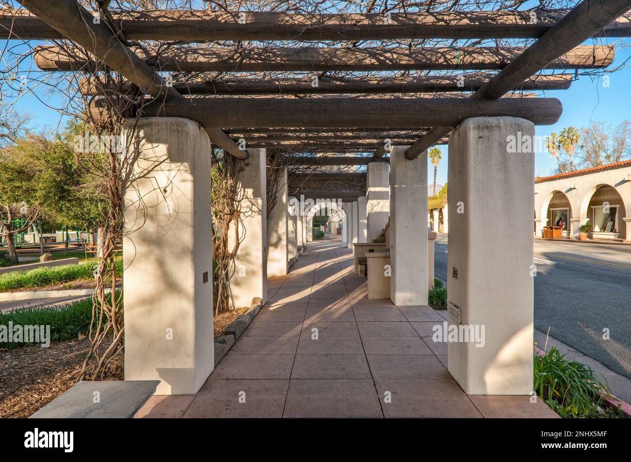 Pergola a Libbey Park, senza fronde all'inizio della primavera, Ojai Avenue, Ojai, California, Stati Uniti Foto Stock