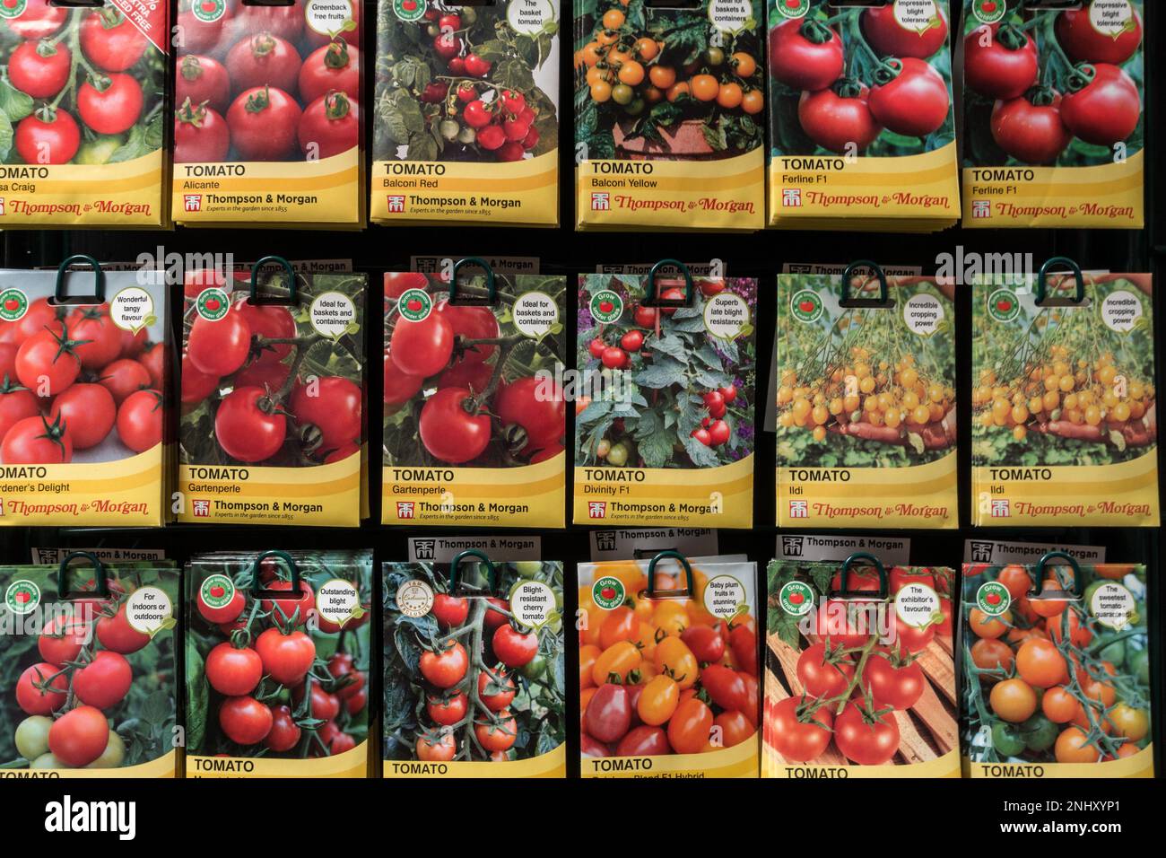 File ordinate di coloratissime confezioni di semi di pomodoro Morgan e Thompson appese al banco espositore nel Garden Center del Regno Unito. Foto Stock