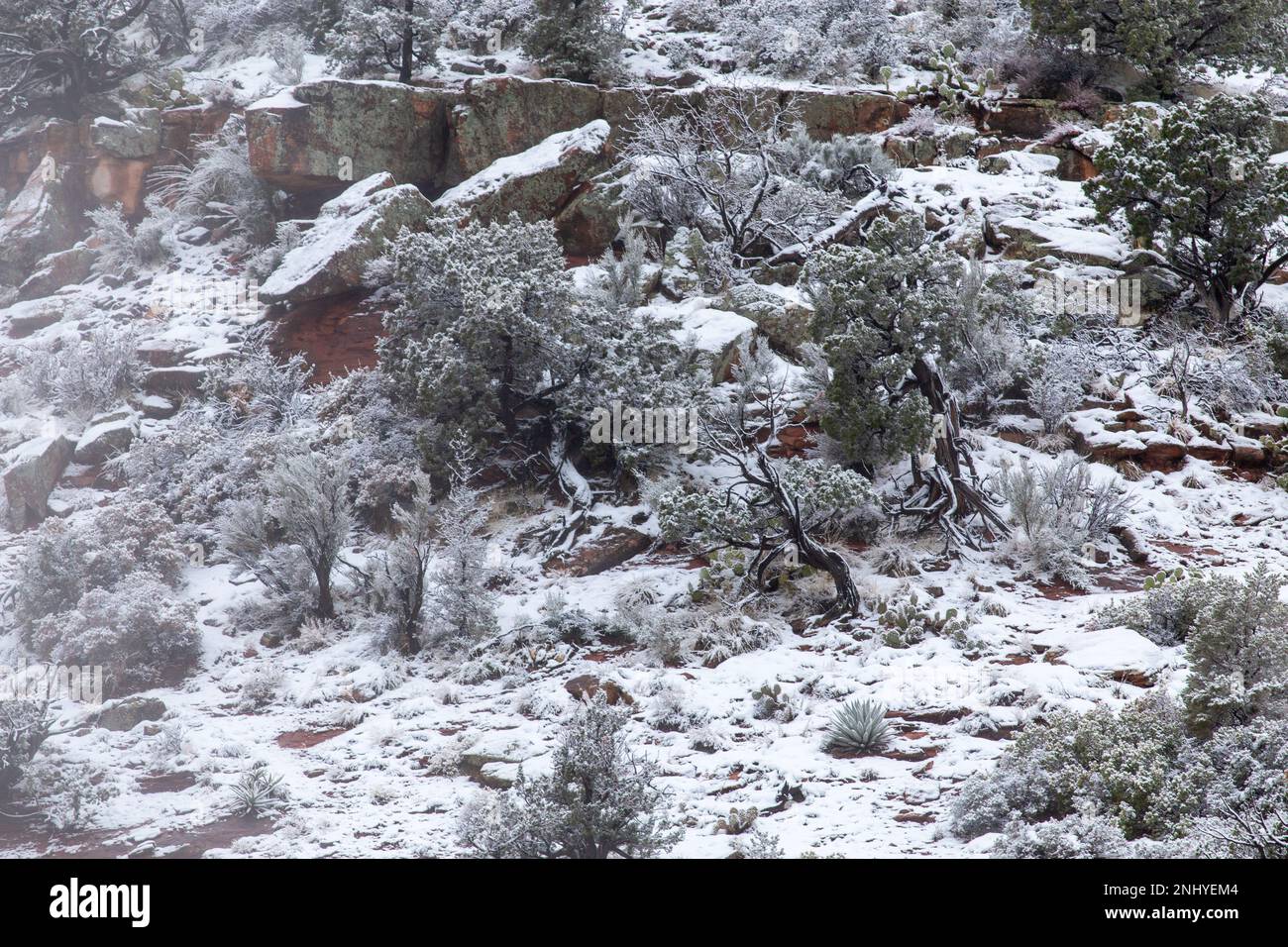 Neve a Sedona Foto Stock