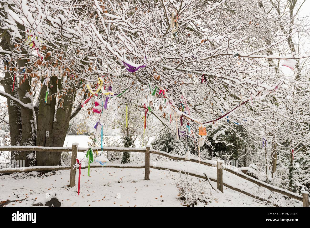 Albero del nastro, nastri colorati, clooties e bande legate su rami di un albero di preghiera di faggio vicino al barrow a Coldrum lungo barrow Foto Stock