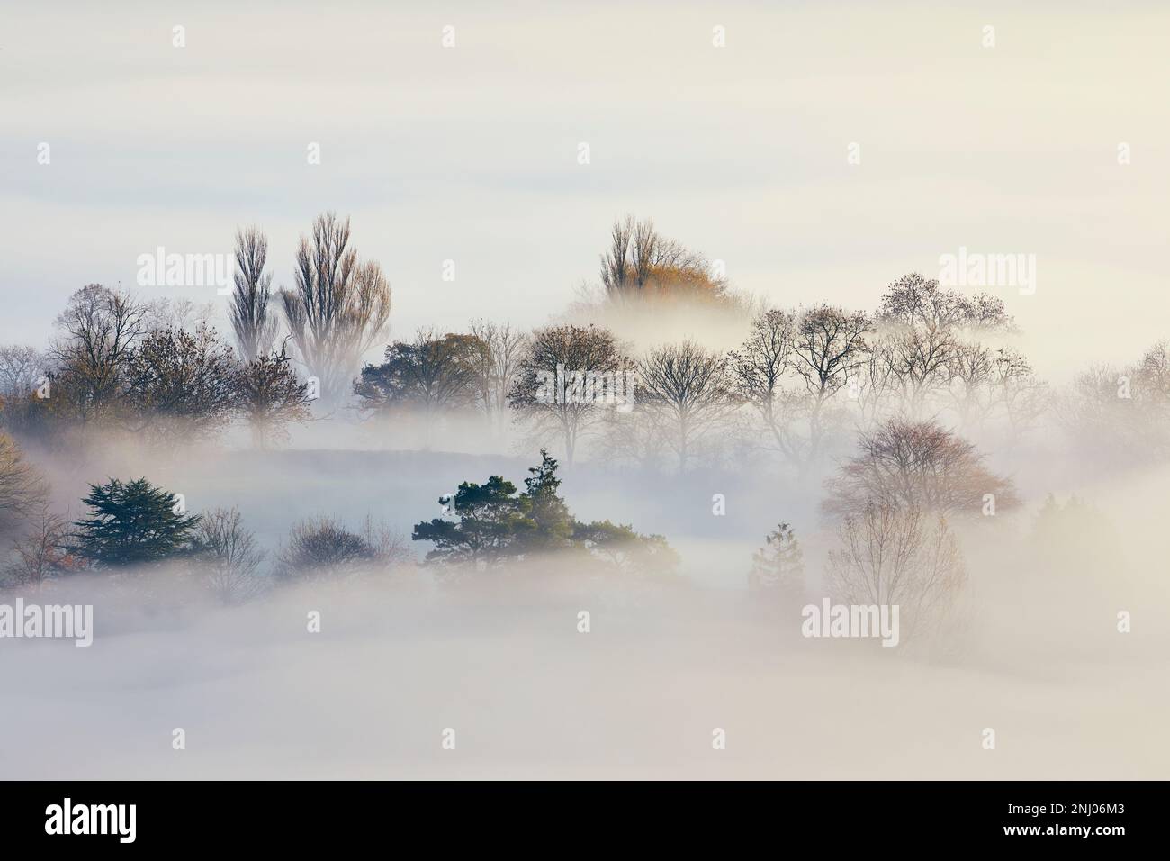 Le nebbie di Avalon che rotolano attraverso il paesaggio da Glastonbury Tor, Glastonbury, Somerset. Foto Stock