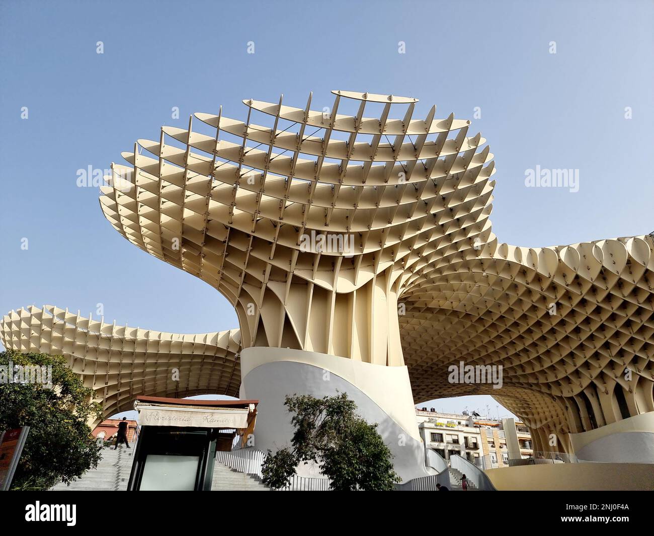 Il Setas de Sevilla (i funghi di Siviglia) o Las Setas (i funghi), inizialmente chiamato Metropol Parasol, è una struttura in legno situata in piazza la Encarnación, nel centro storico di Siviglia. È stato progettato dall'architetto tedesco Jürgen Mayer e completato nell'aprile 2011. Ha dimensioni di 150 x 70 metri (490 x 230 piedi) e un'altezza di circa 26 metri (85 piedi) e sostiene di essere la più grande struttura in legno del mondo. Spagna. Foto Stock Il Setas de Sevilla (i funghi di Siviglia) o Las Setas (i funghi), inizialmente chiamato Metropol Parasol, è una struttura in legno situata in piazza la Encarnación, nel centro storico di Siviglia. È stato progettato dall'architetto tedesco Jürgen Mayer e completato nell'aprile 2011. Ha dimensioni di 150 x 70 metri (490 x 230 piedi) e un'altezza di circa 26 metri (85 piedi) e sostiene di essere la più grande struttura in legno del mondo. Spagna. Foto Stock