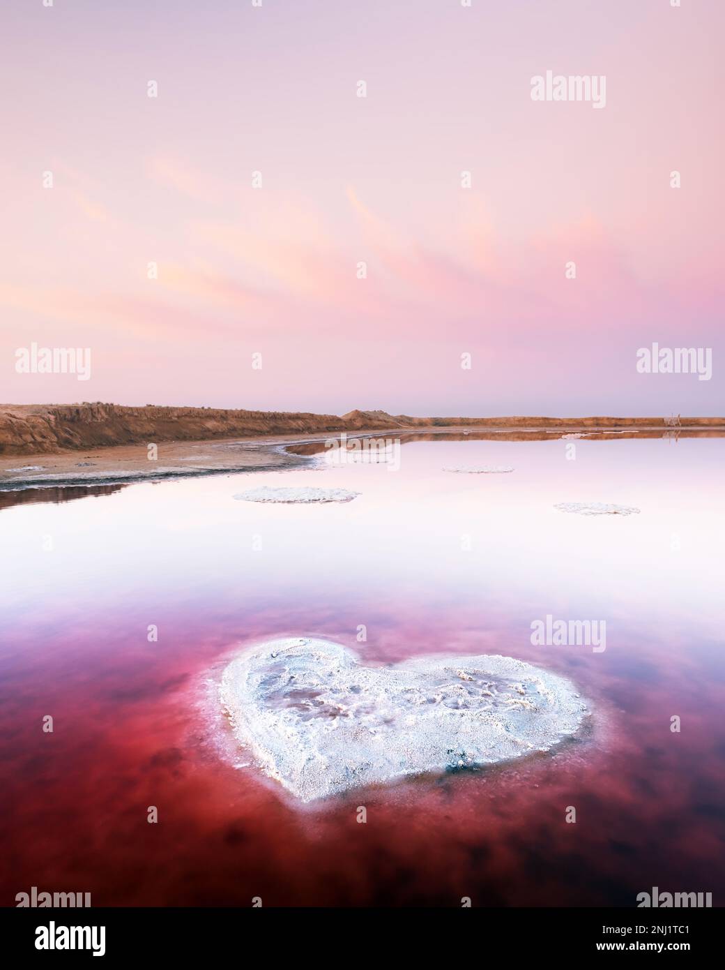 Cuore dal sale in acqua rosa lago di sale in Ucraina, Europa. Concetto creativo Foto Stock