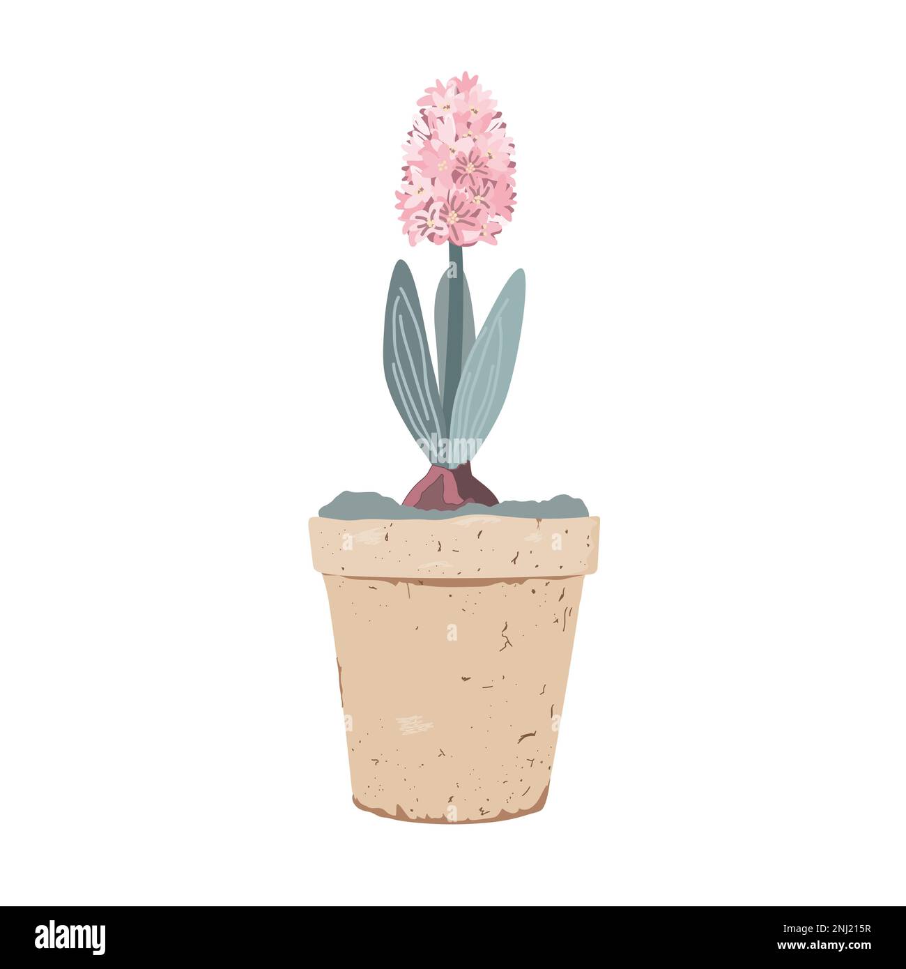 Giacinto rosa in un vaso di argilla vintage fiore isolato sfondo bianco. Illusione vettoriale. Illustrazione Vettoriale