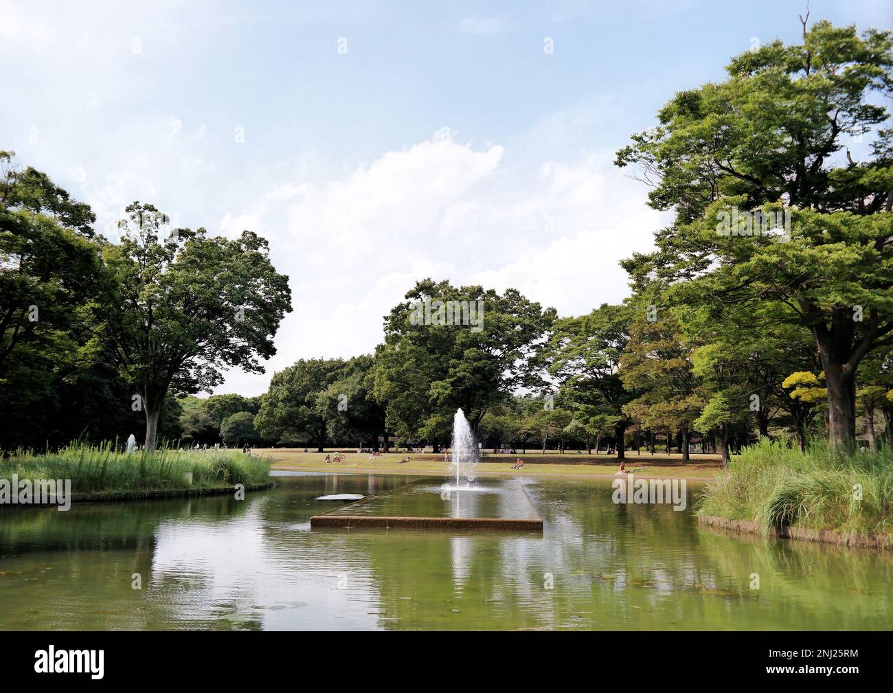 Tokyo, Giappone - Settembre 2017: Fontana d'acqua e lago del Parco di Yoyogi circondato da alberi Foto Stock